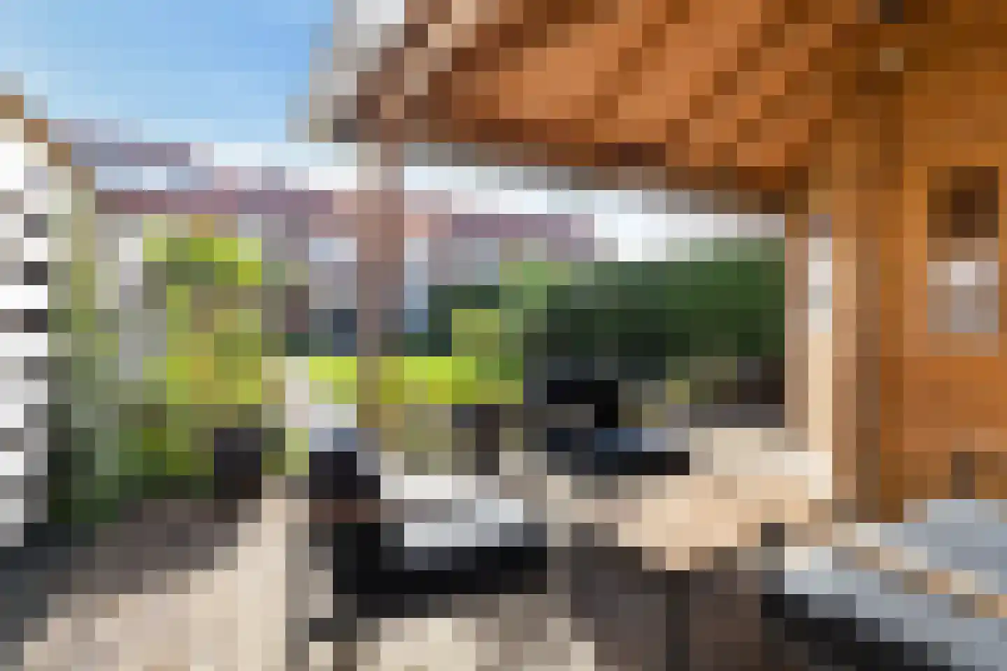 Wolff Gabriëlsweg 12 Loenen thumbnail 22