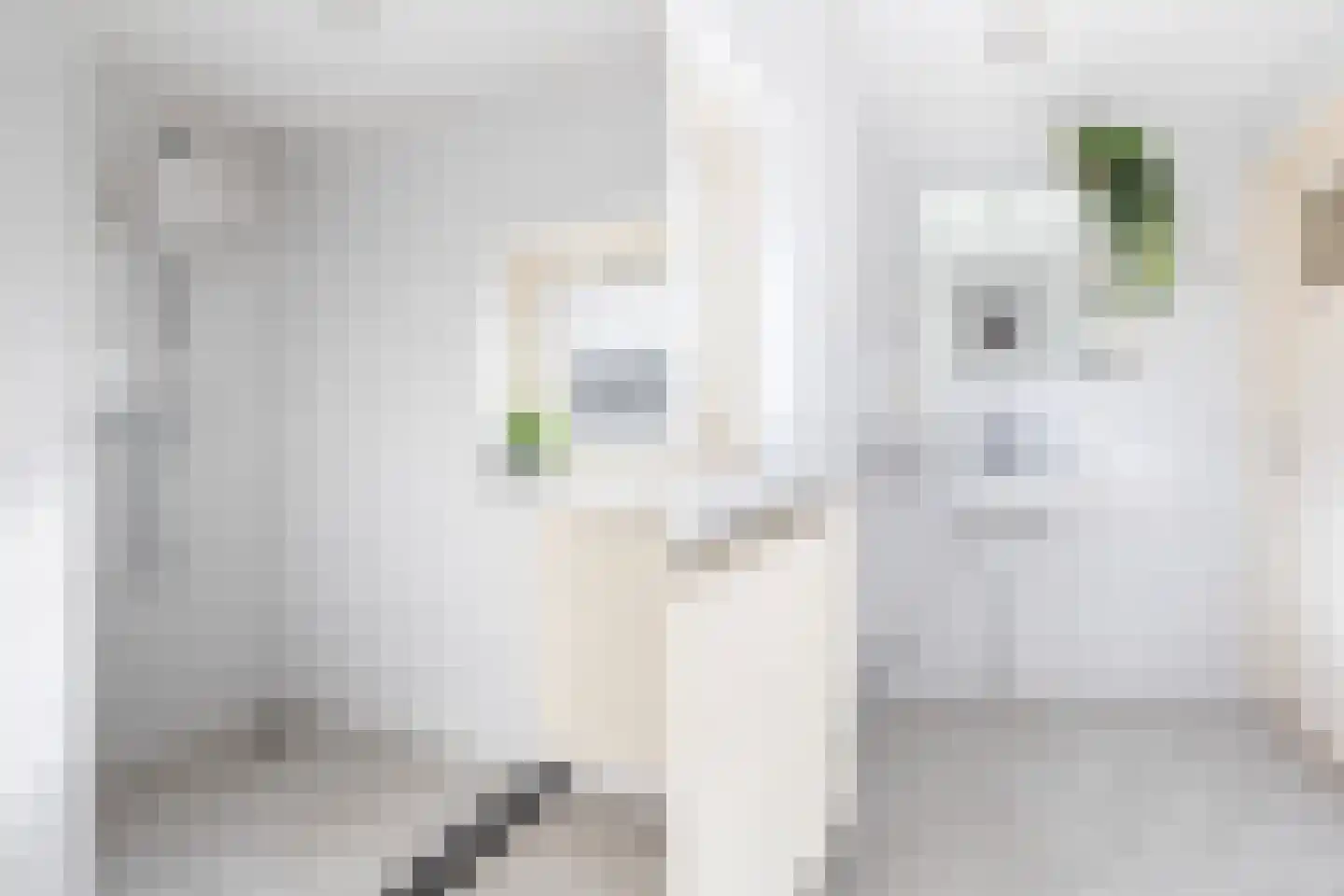 Wolff Gabriëlsweg 12 Loenen thumbnail 33
