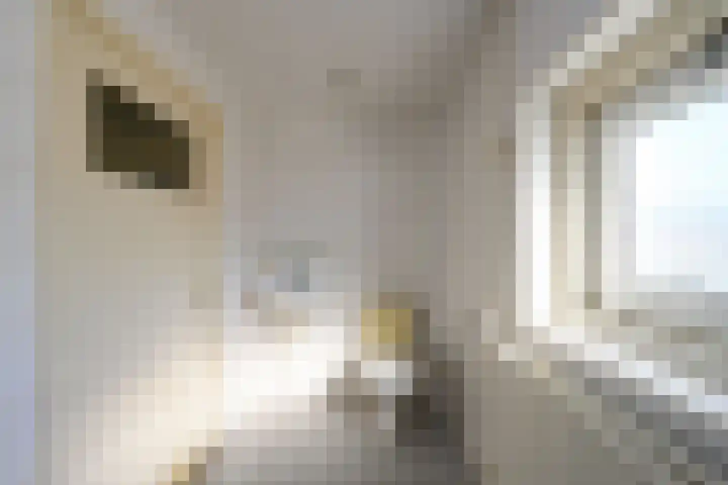 Wolff Gabriëlsweg 22 Loenen thumbnail 17