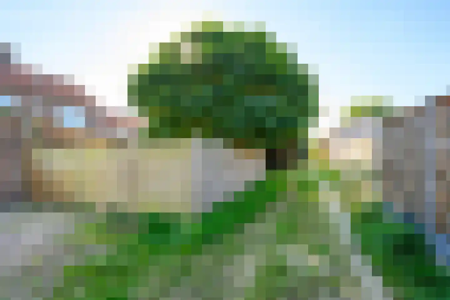 Wolff Gabriëlsweg 22 Loenen thumbnail 24