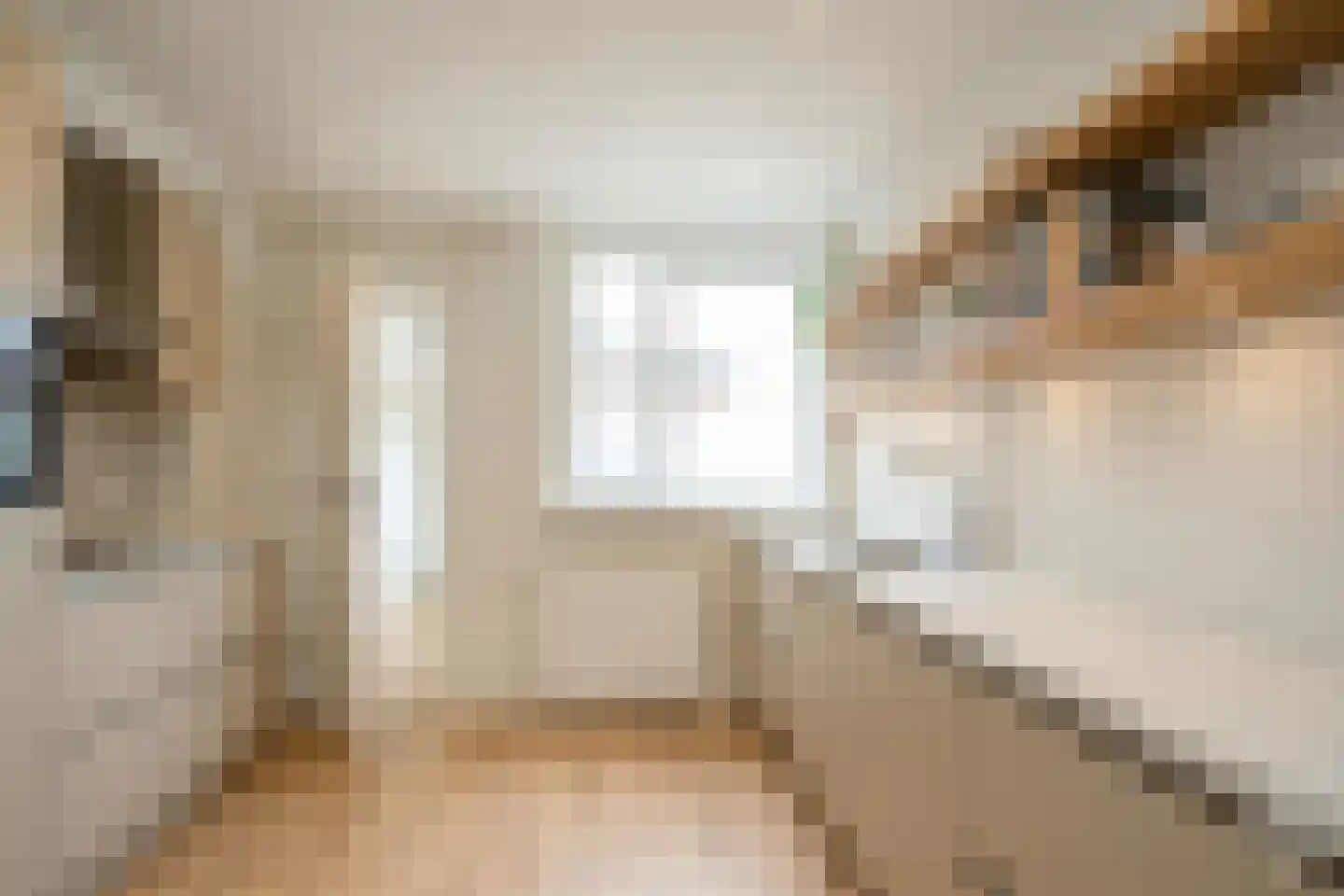 Wolff Gabriëlsweg 22 Loenen thumbnail 6