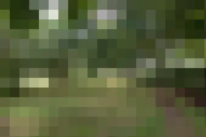 Wolfgarensweg 2 Noord-Sleen thumbnail 10