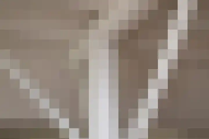 Wolfgarensweg 2 Noord-Sleen thumbnail 23