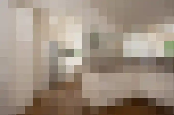Wolfgarensweg 2 Noord-Sleen thumbnail 29