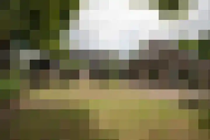 Wolfgarensweg 2 Noord-Sleen foto 3