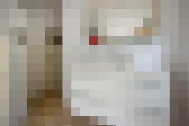 Wolfgarensweg 2 Noord-Sleen thumbnail 34