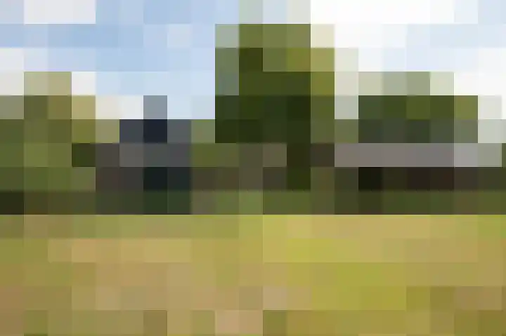 Wolfgarensweg 2 Noord-Sleen thumbnail 4