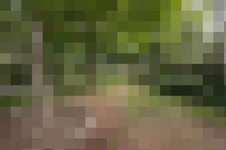 Wolfgarensweg 2 Noord-Sleen thumbnail 6