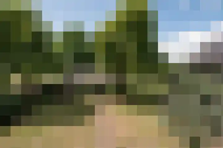 Wolfgarensweg 2 Noord-Sleen thumbnail 68