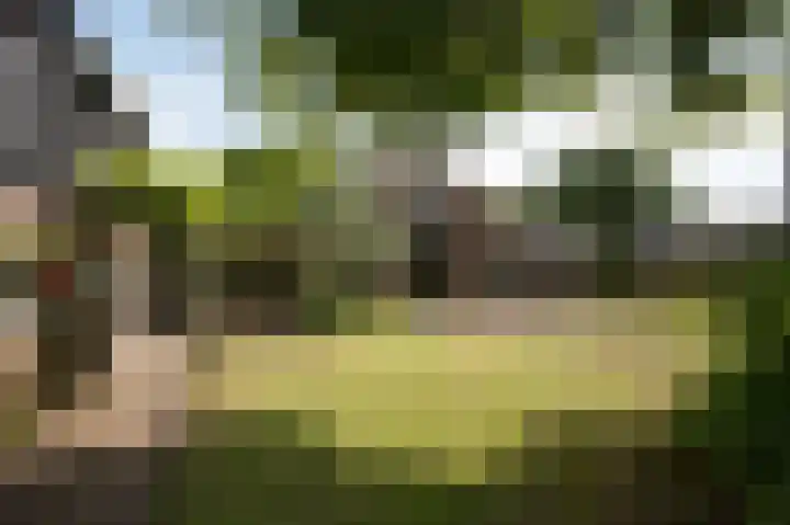 Wolfgarensweg 2 Noord-Sleen thumbnail 69