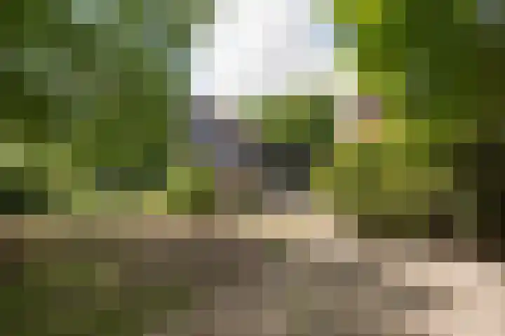 Wolfgarensweg 2 Noord-Sleen thumbnail 7