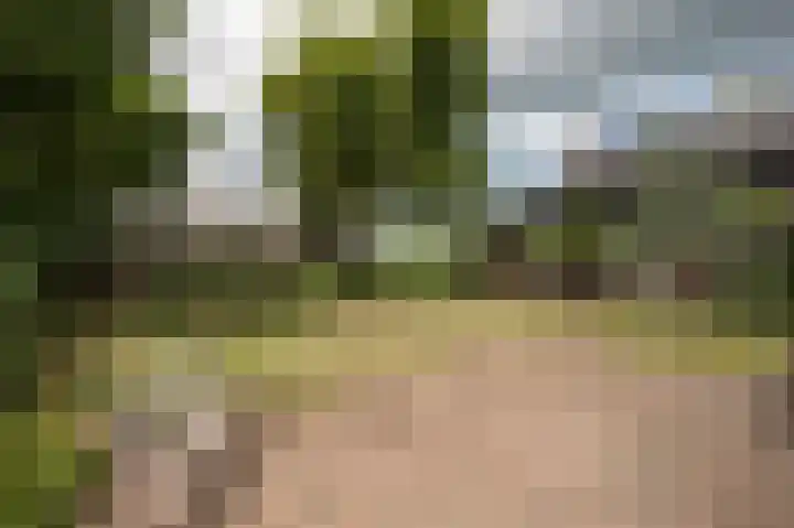 Wolfgarensweg 2 Noord-Sleen thumbnail 73