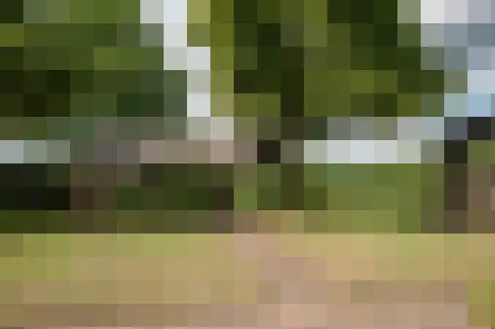Wolfgarensweg 2 Noord-Sleen thumbnail 74