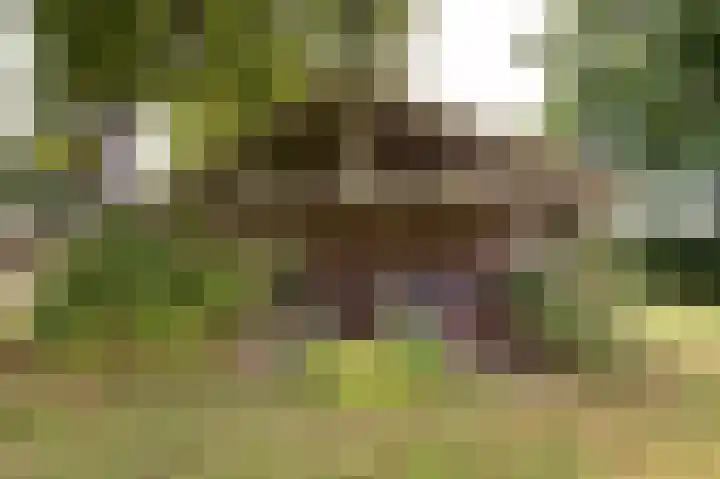 Wolfgarensweg 2 Noord-Sleen thumbnail 75