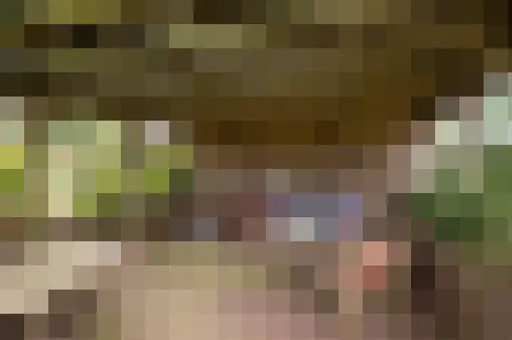 Wolfgarensweg 2 Noord-Sleen thumbnail 76