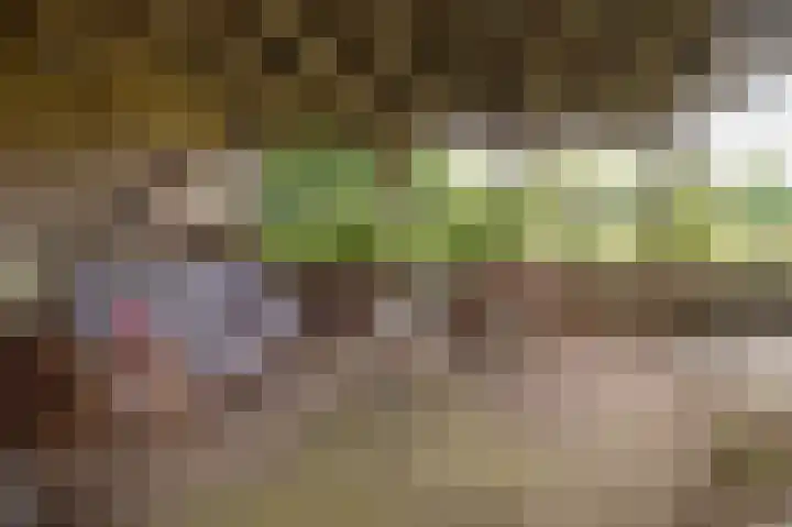 Wolfgarensweg 2 Noord-Sleen thumbnail 77