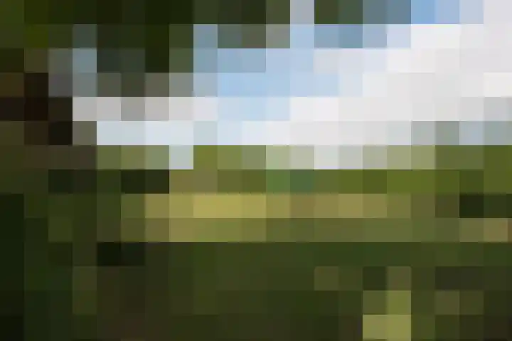 Wolfgarensweg 2 Noord-Sleen thumbnail 78