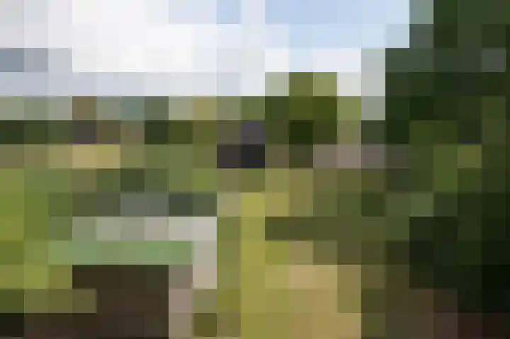 Wolfgarensweg 2 Noord-Sleen thumbnail 79
