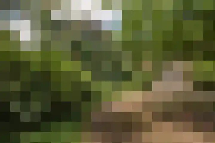 Wolfgarensweg 2 Noord-Sleen thumbnail 8