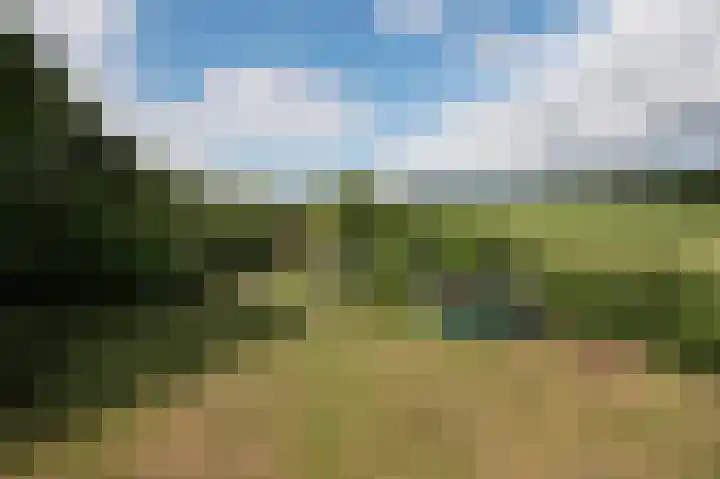 Wolfgarensweg 2 Noord-Sleen thumbnail 80