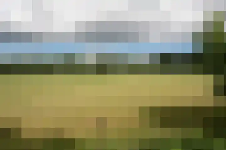 Wolfgarensweg 2 Noord-Sleen thumbnail 81