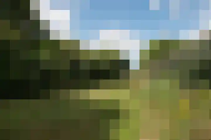 Wolfgarensweg 2 Noord-Sleen thumbnail 82