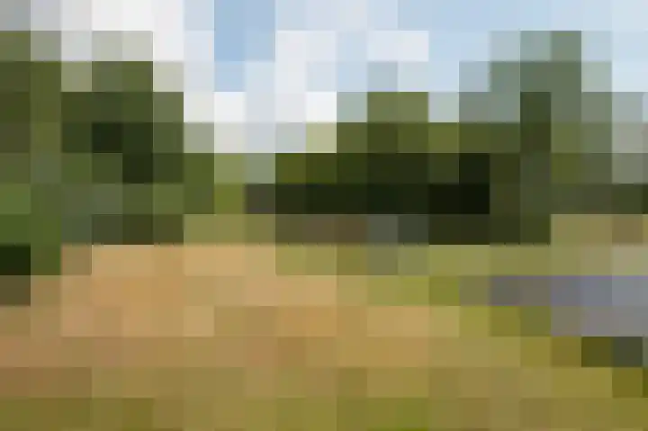 Wolfgarensweg 2 Noord-Sleen thumbnail 83