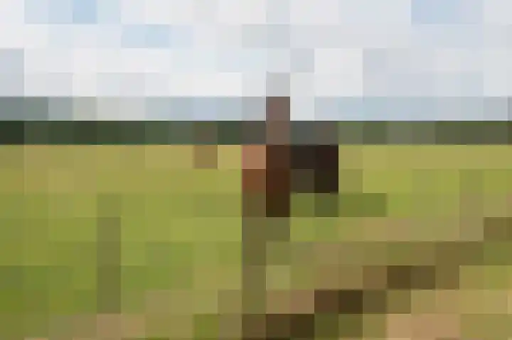 Wolfgarensweg 2 Noord-Sleen thumbnail 87