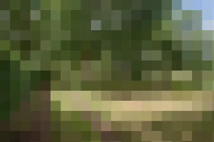 Wolfgarensweg 2 Noord-Sleen thumbnail 9