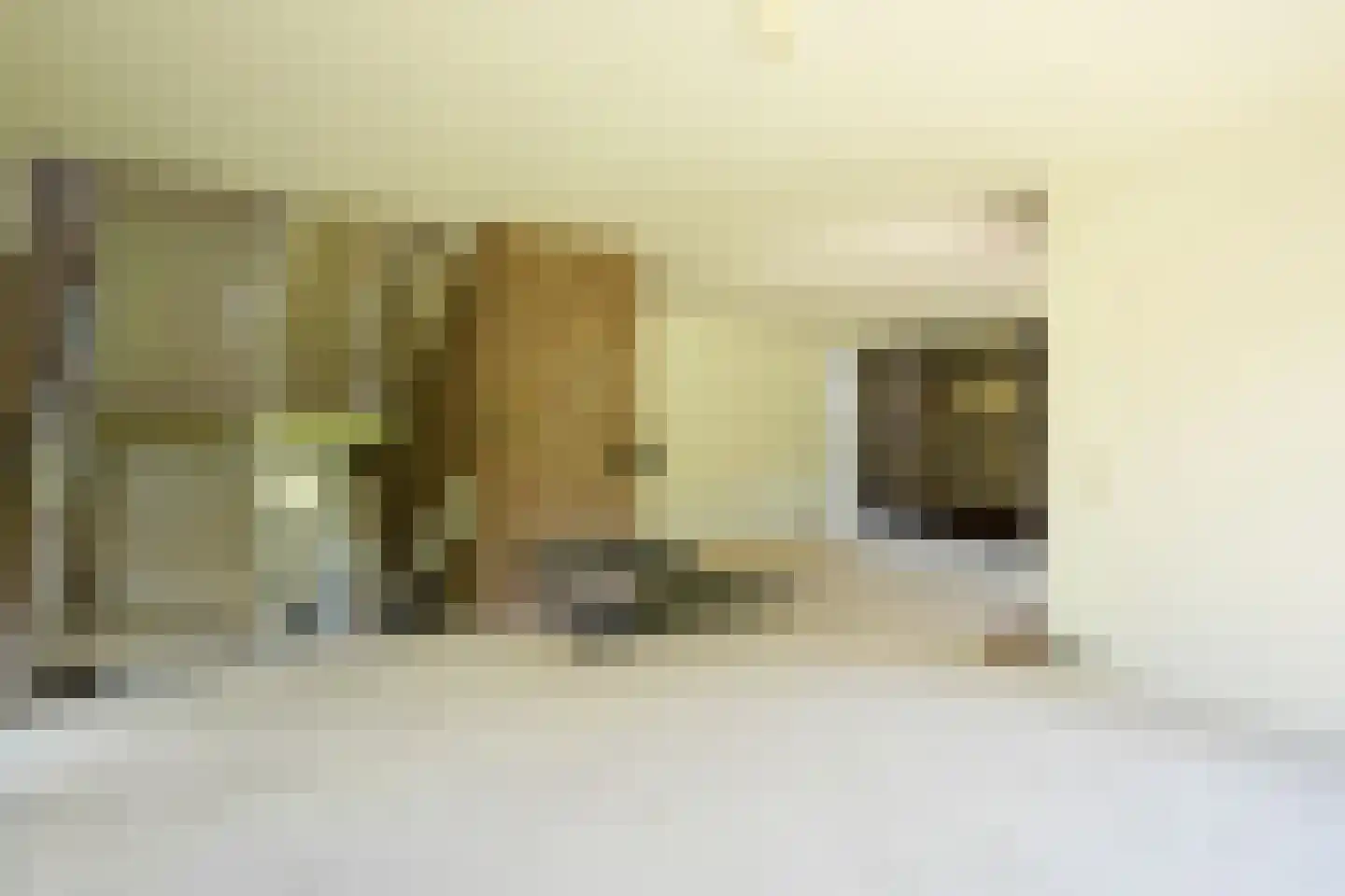 Wolfhaag 4 Vaals thumbnail 6