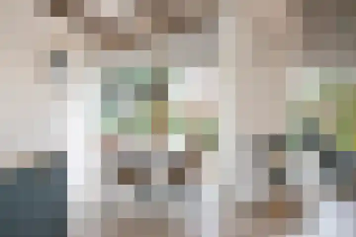Wolfhezerweg 120 22 Wolfheze thumbnail 18