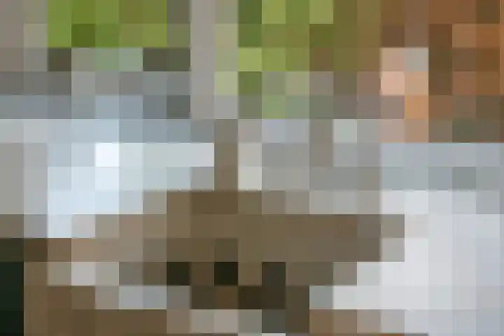 Wolfhezerweg 120 22 Wolfheze thumbnail 25