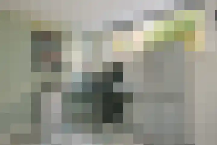 Wolfhezerweg 120 22 Wolfheze thumbnail 36