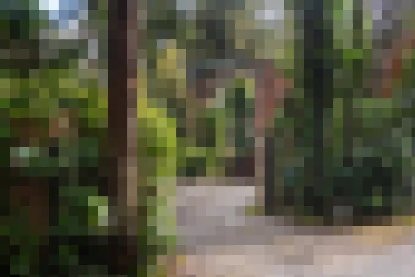 Wolfhezerweg 120 22 Wolfheze thumbnail 4