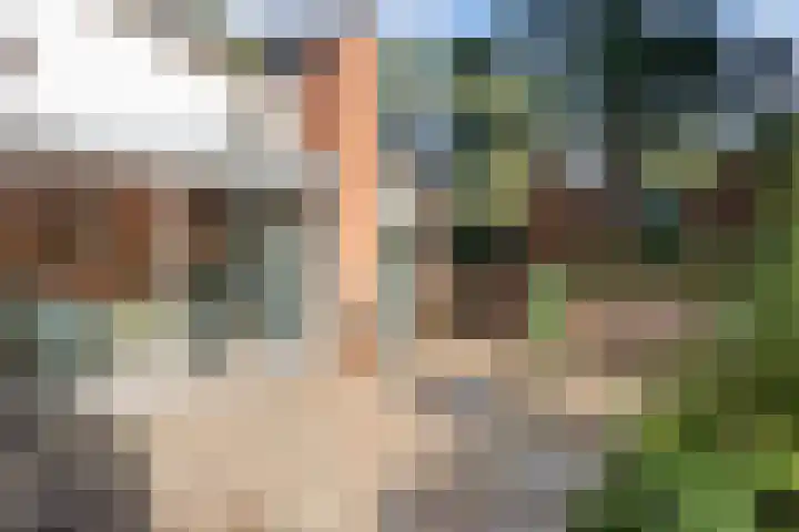Wolfhezerweg 120 22 Wolfheze thumbnail 46