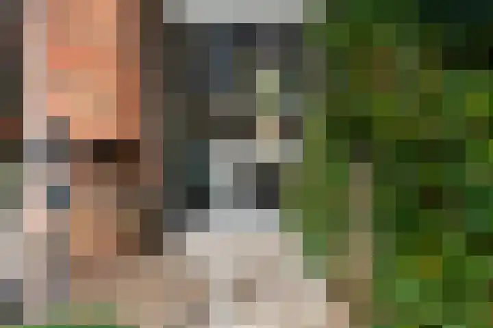 Wolfhezerweg 120 22 Wolfheze thumbnail 48