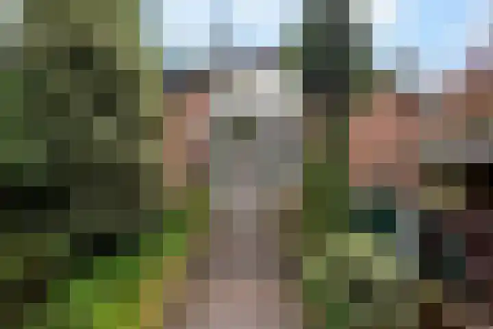 Wolfhezerweg 120 22 Wolfheze thumbnail 5