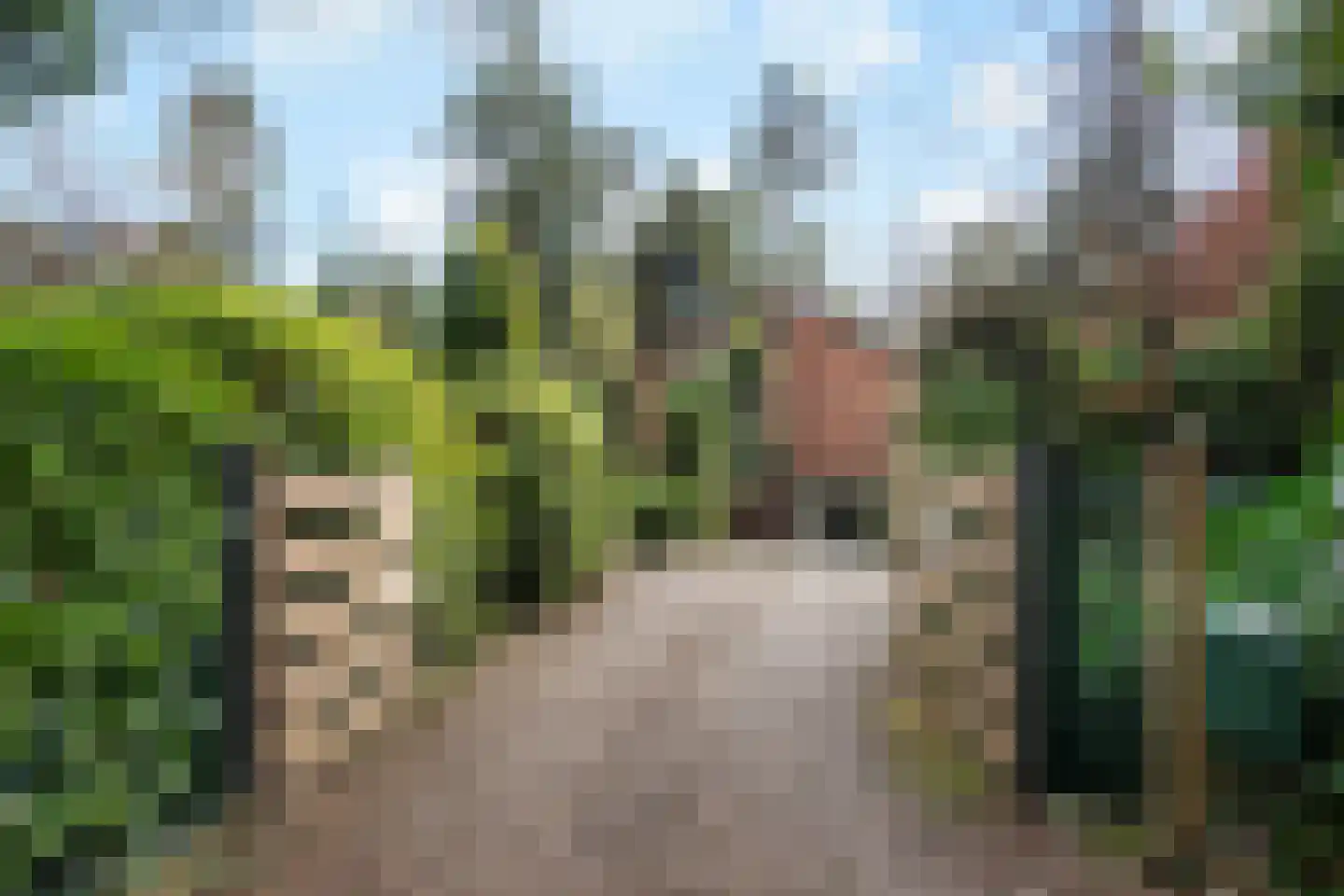 Wolfhezerweg 120 22 Wolfheze thumbnail 5