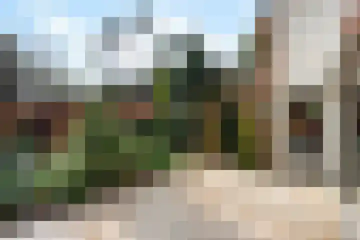 Wolfhezerweg 120 22 Wolfheze thumbnail 50