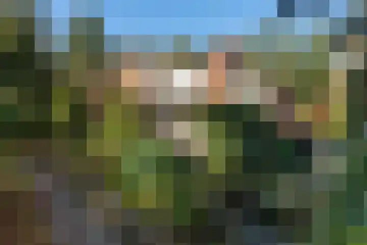 Wolfhezerweg 120 22 Wolfheze thumbnail 51