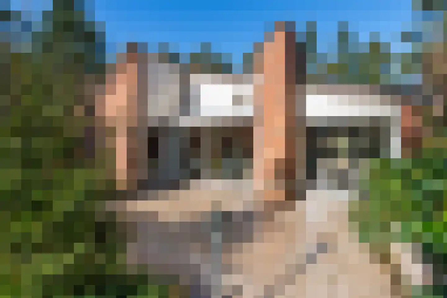 Wolfhezerweg 120 22 Wolfheze thumbnail 53