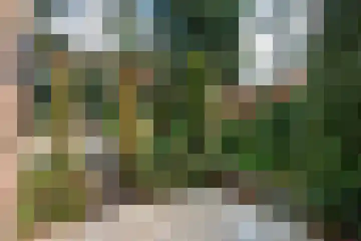 Wolfhezerweg 120 22 Wolfheze thumbnail 53
