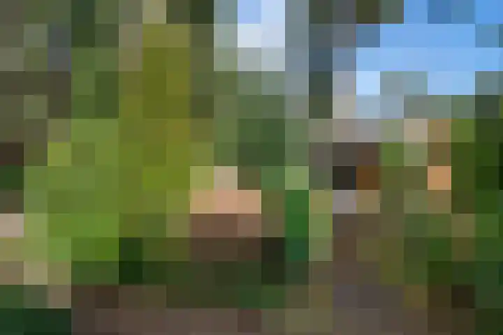Wolfhezerweg 120 22 Wolfheze thumbnail 54