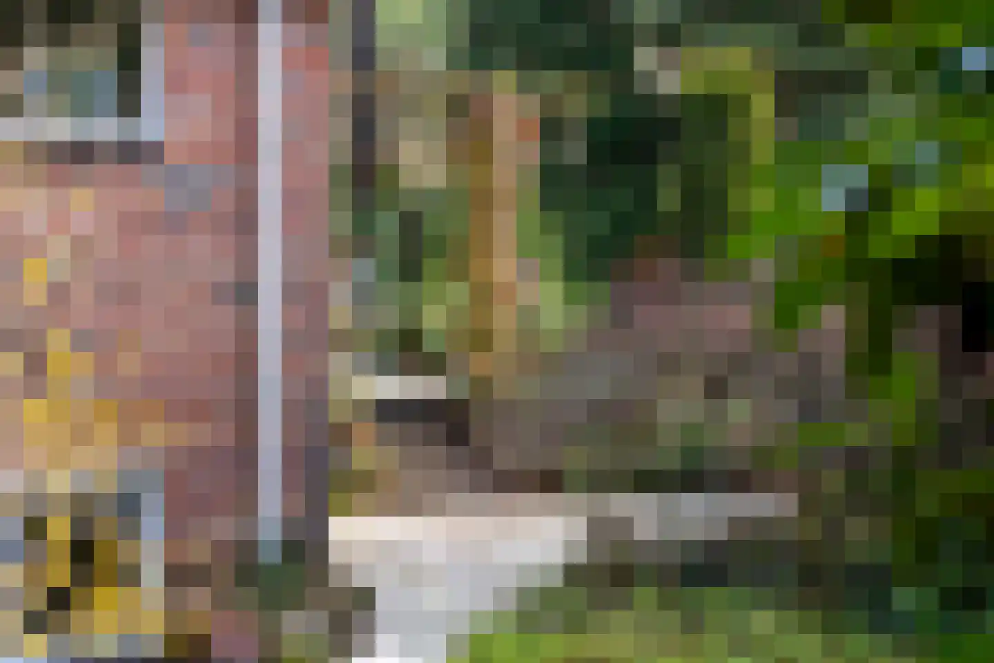 Wolfhezerweg 120 22 Wolfheze thumbnail 54