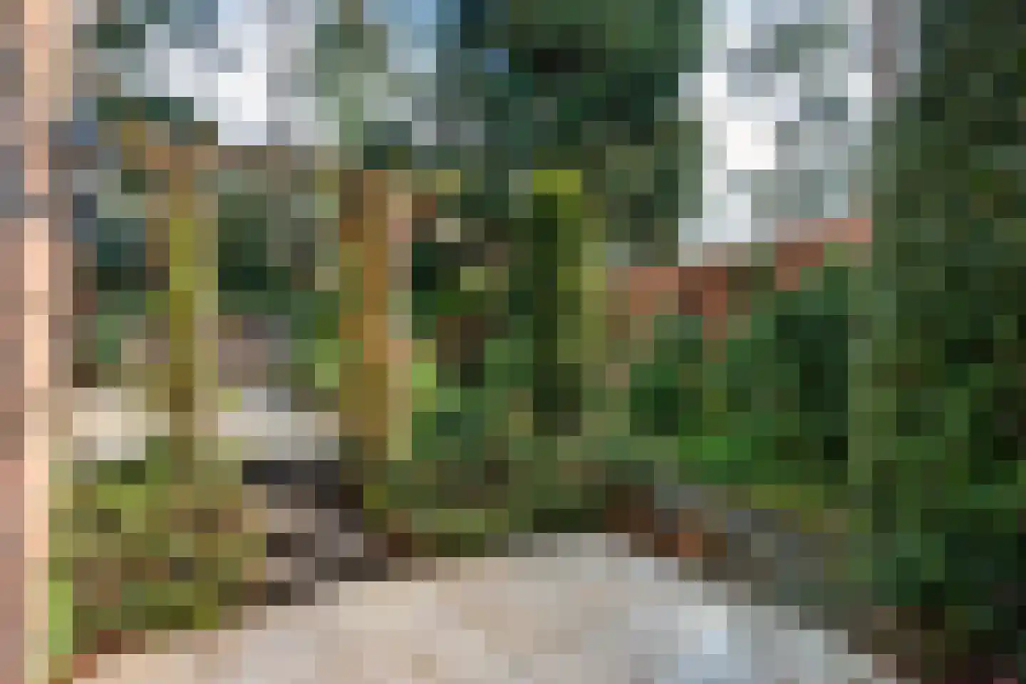 Wolfhezerweg 120 22 Wolfheze thumbnail 55