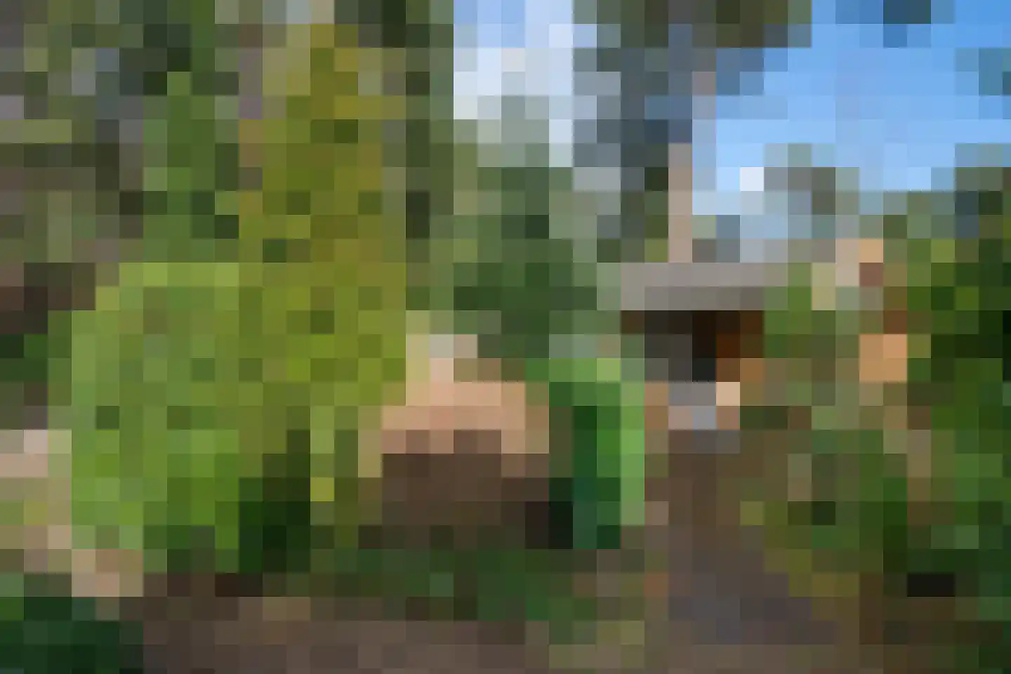 Wolfhezerweg 120 22 Wolfheze thumbnail 56