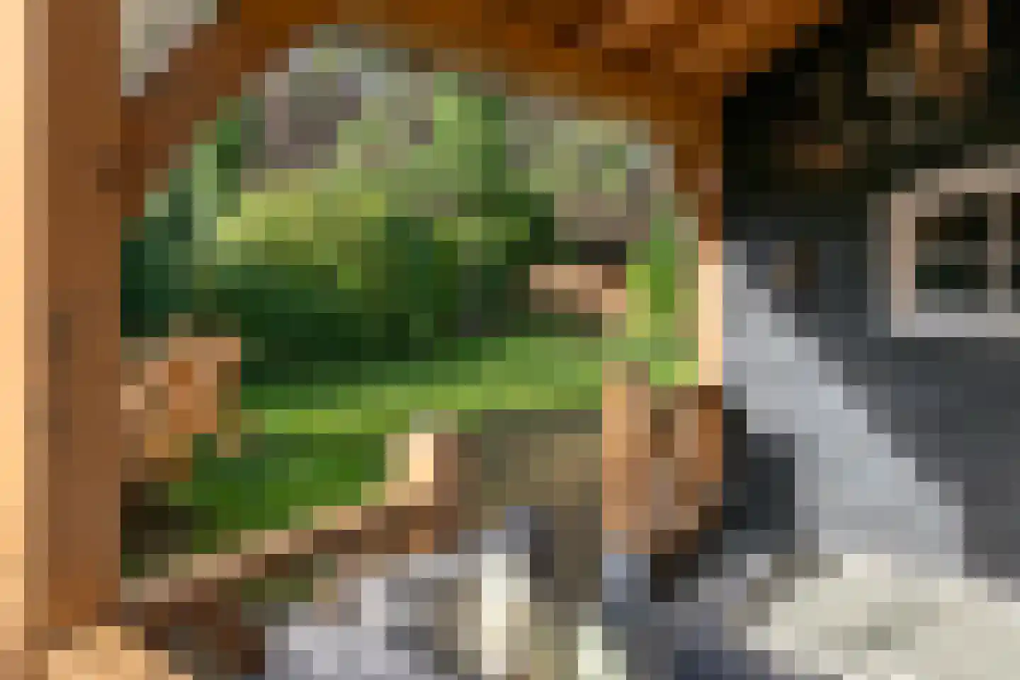 Wolfhezerweg 120 22 Wolfheze thumbnail 58