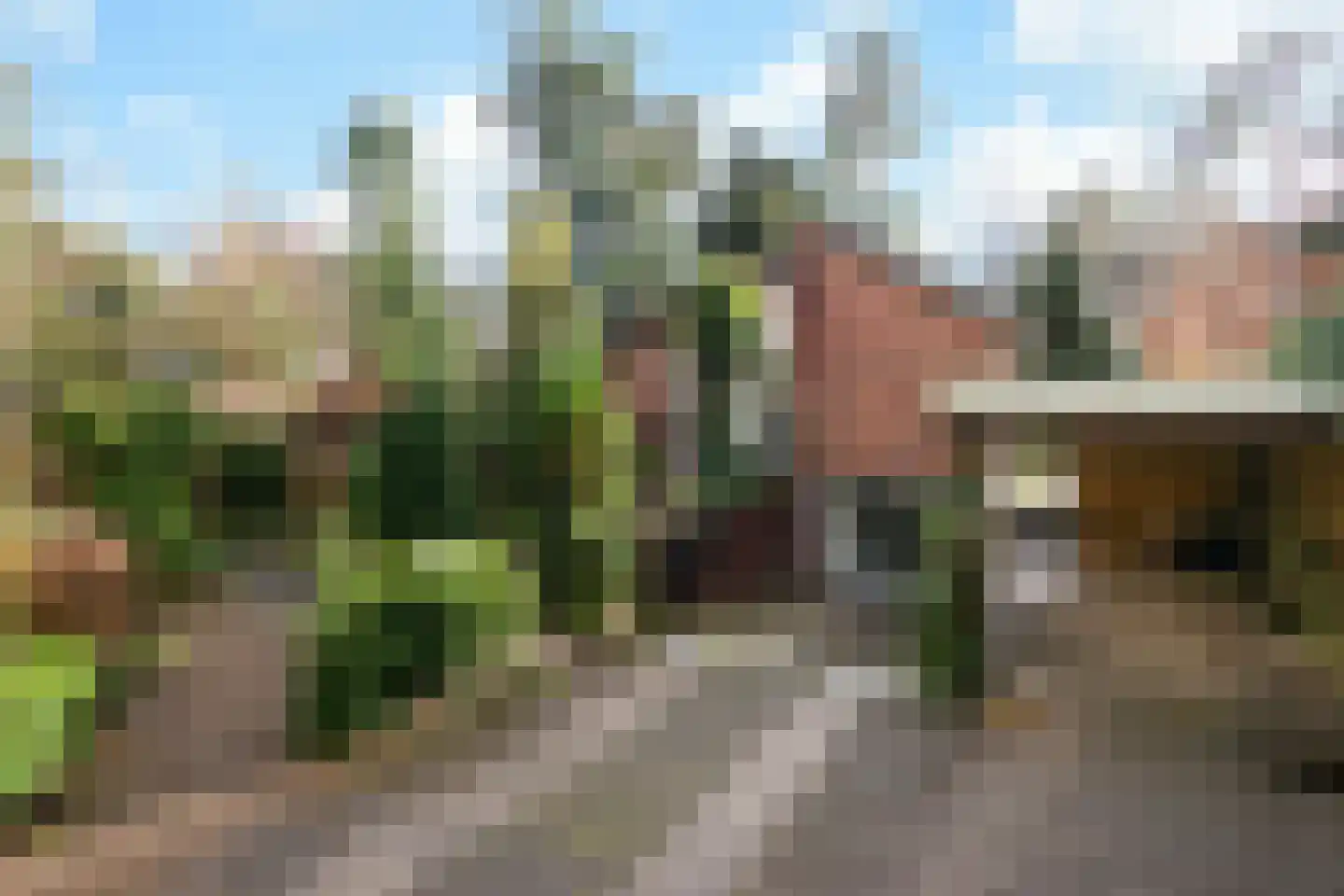Wolfhezerweg 120 22 Wolfheze thumbnail 6