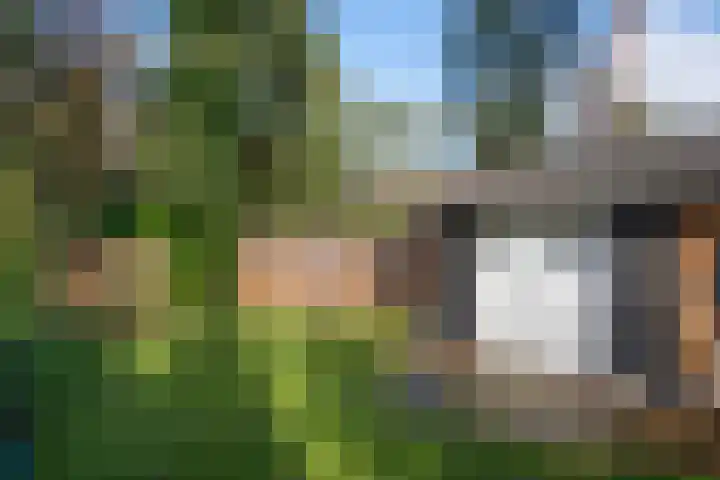 Wolfhezerweg 120 22 Wolfheze thumbnail 63