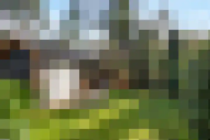 Wolfhezerweg 120 22 Wolfheze thumbnail 64